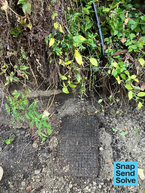 Water Leak, a report photo