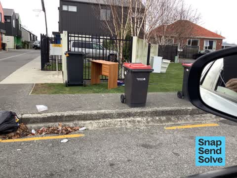 Rubbish and Bins - General — a report photo