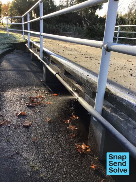 Water Leak, a report photo