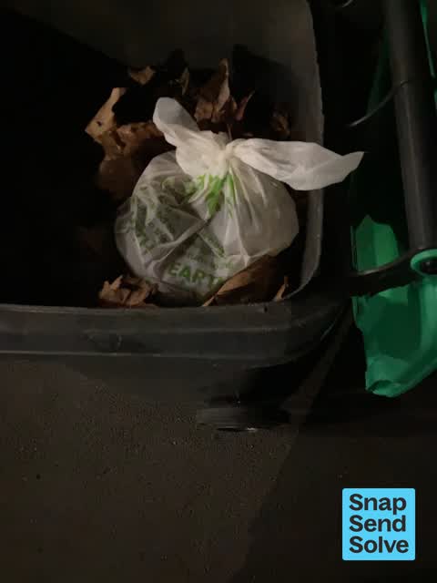 Rubbish and Bins - General, a report photo