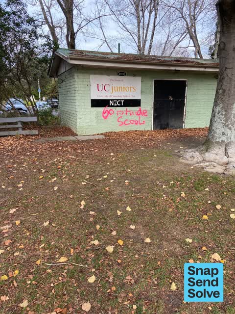Graffiti on a playground or in a park — a report photo