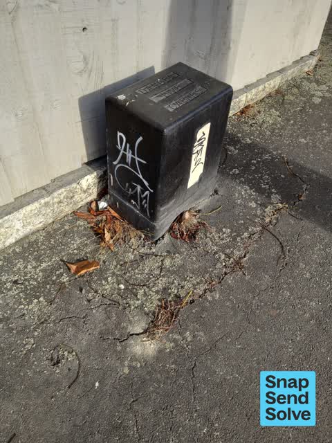 Graffiti somewhere else, a report photo