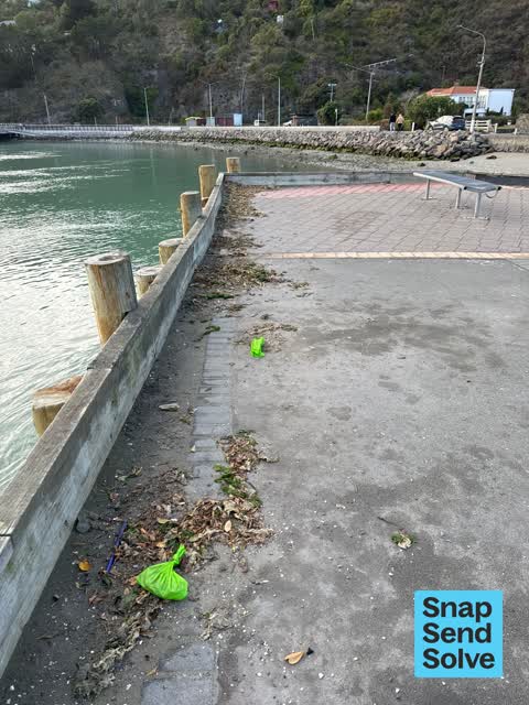 Rubbish and Bins - General — a report photo
