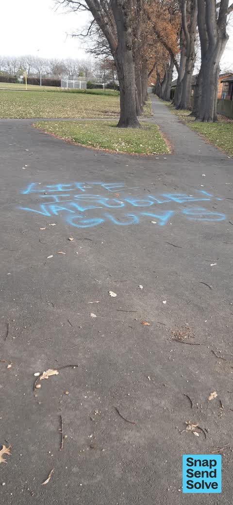 Graffiti on a playground or in a park — a report photo