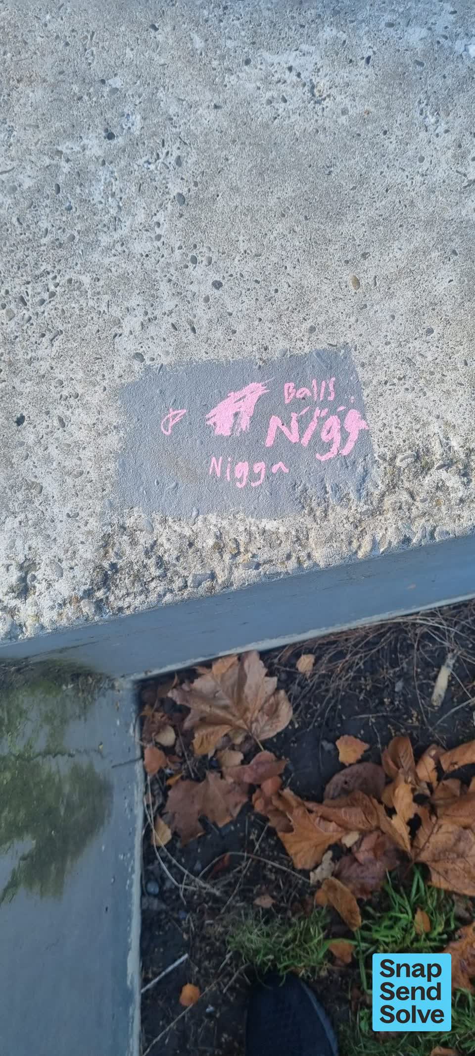 The photograph attached to this graffiti on a playground or in a park report