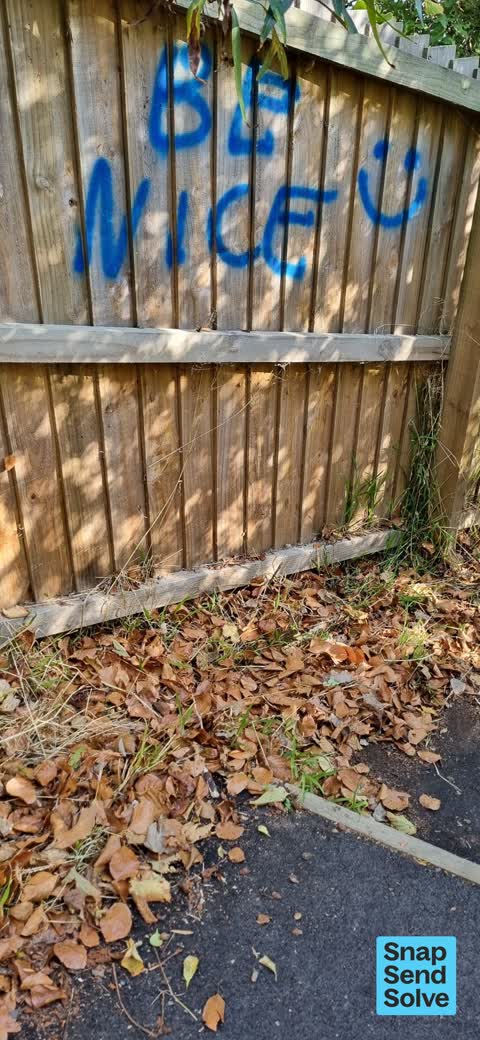 Graffiti on a fence, building or structure, a report photo