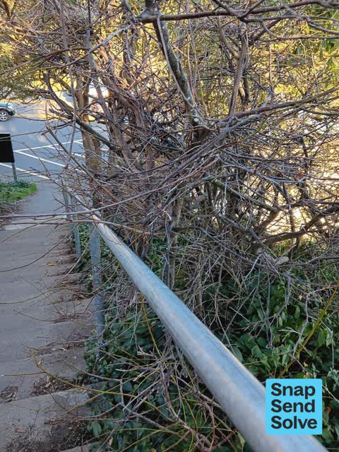 Accessibility — a report photo