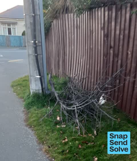 Dumped Rubbish, a report photo