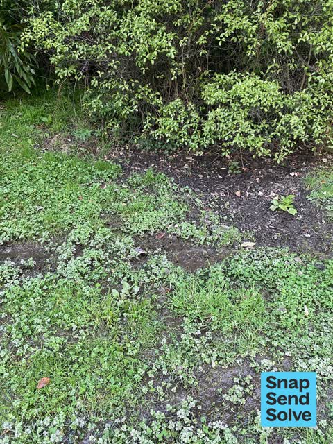 Water Leak, a report photo