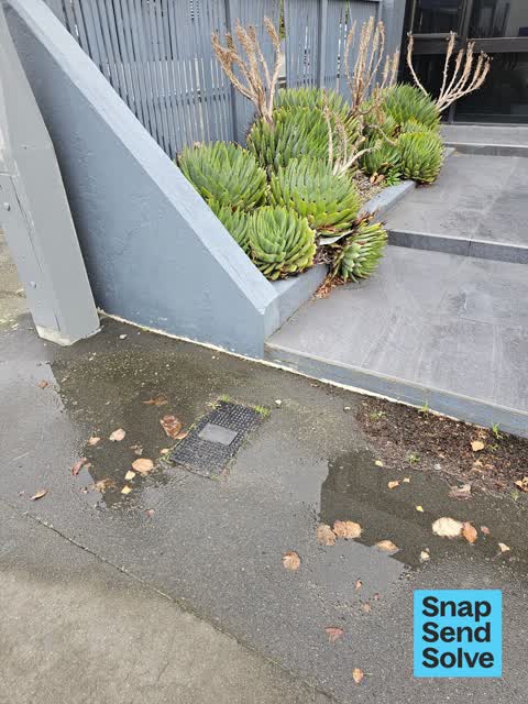 Water Leak, a report photo