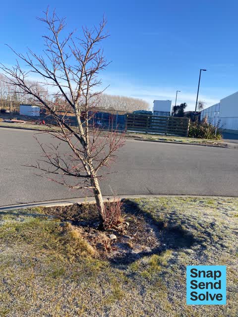 Pavement - Damaged, a report photo