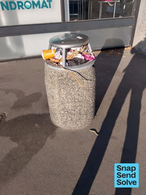 Rubbish and Bins - General, a report photo