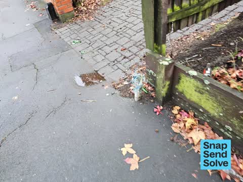 Litter, a report photo