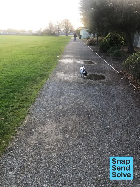 Park - General Request, a report photo