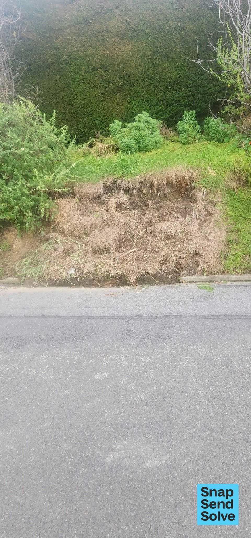 The photograph attached to this street gutters / storm water report
