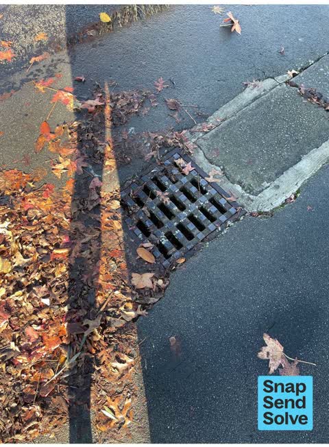 Flooding, a report photo