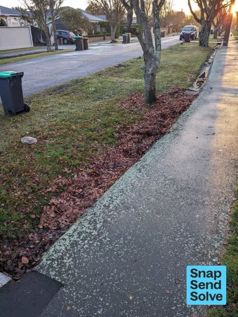 Street Gutters / Storm Water, a report photo