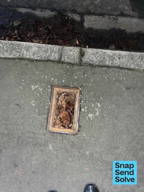 General Request — a report photo