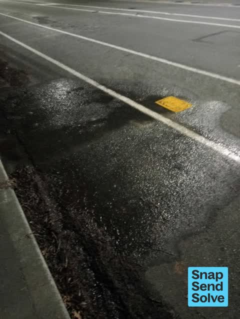 Water Leak, a report photo