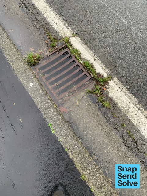 Street Gutters / Storm Water, a report photo