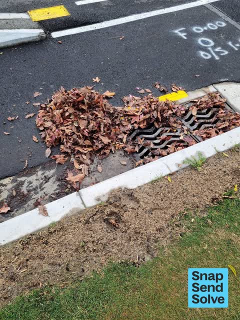 Street Gutters / Storm Water, a report photo