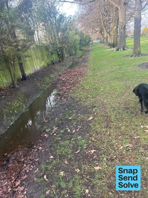 Street Gutters / Storm Water, a report photo