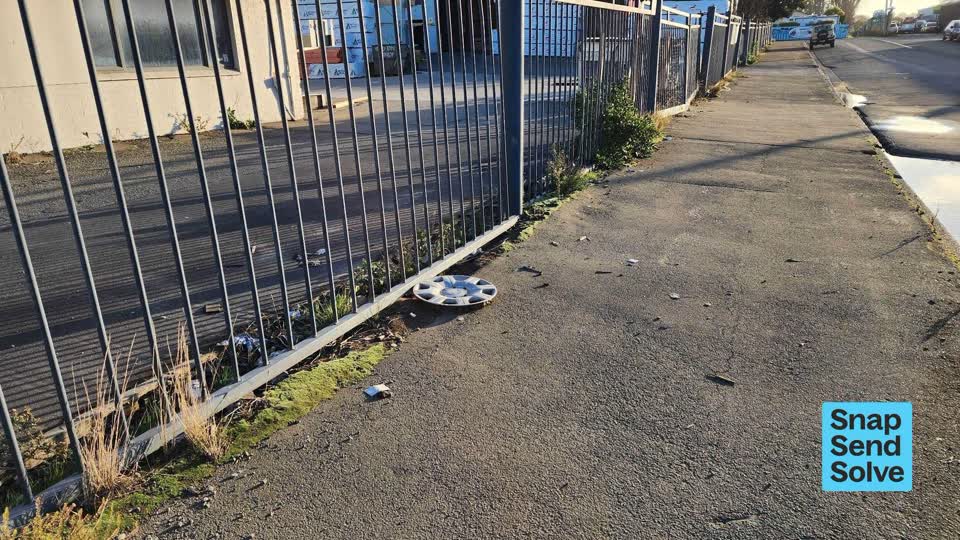 The photograph attached to this litter report