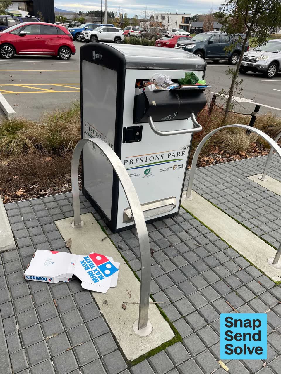 The photograph attached to this rubbish and bins - general report