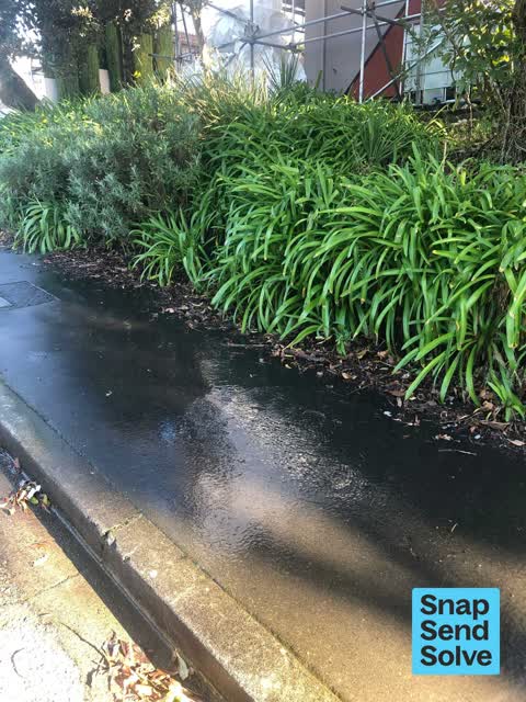 Water Leak, a report photo