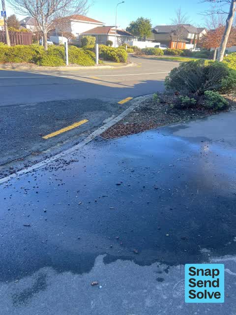 Sewer - Leak / Blockage, a report photo