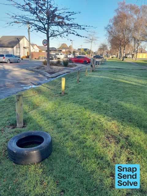 Rubbish and Bins - General, a report photo