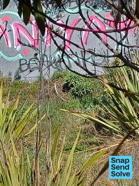Graffiti somewhere else — a report photo