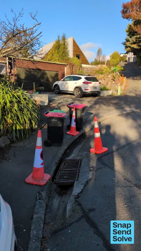 Rubbish and Bins - General, a report photo