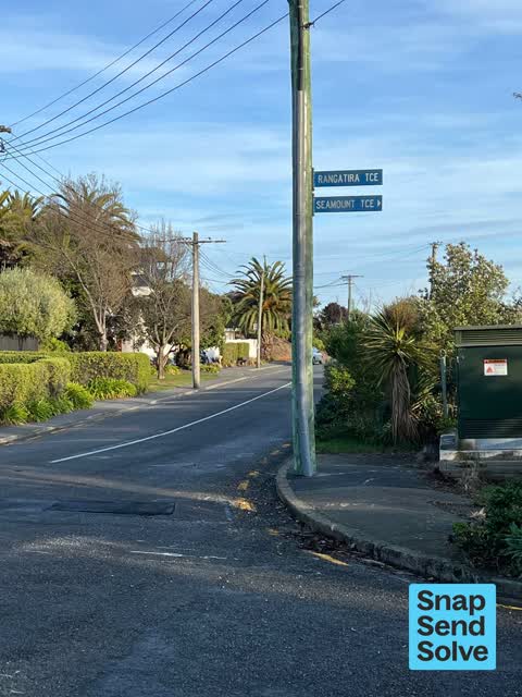 Overgrown Vegetation, a report photo