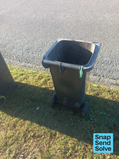 Rubbish and Bins - General, a report photo