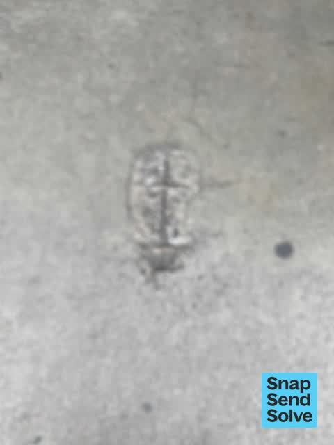 Pavement - Damaged, a report photo