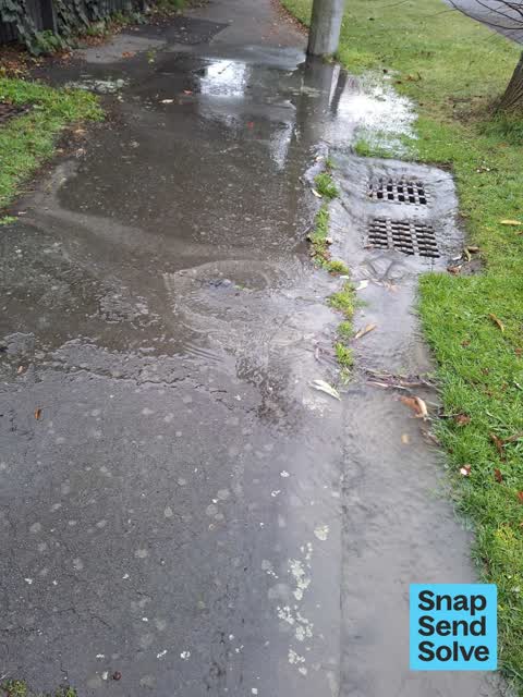 Water Leak, a report photo