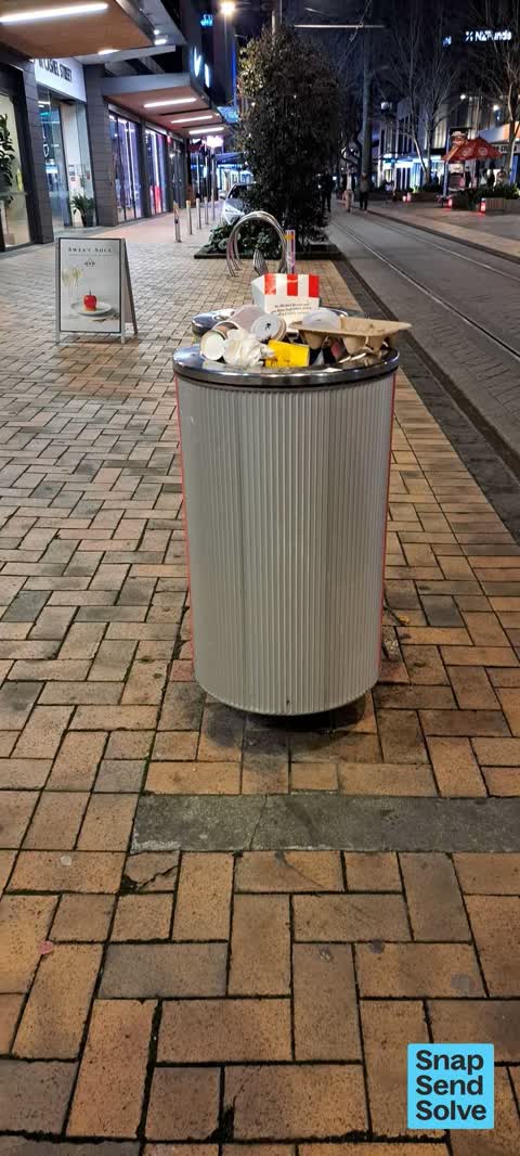 Rubbish and Bins - General — a report photo
