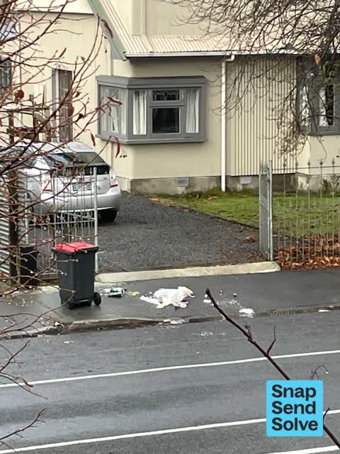 Litter, a report photo