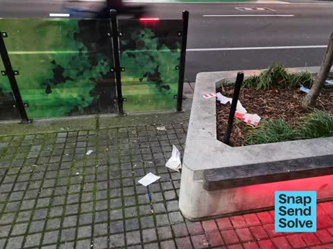 Litter, a report photo