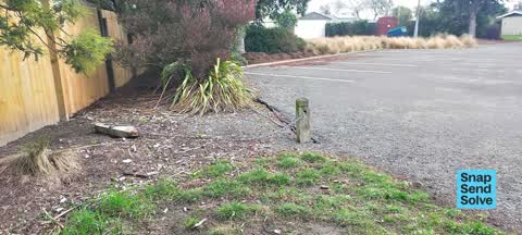Park - General Request, a report photo