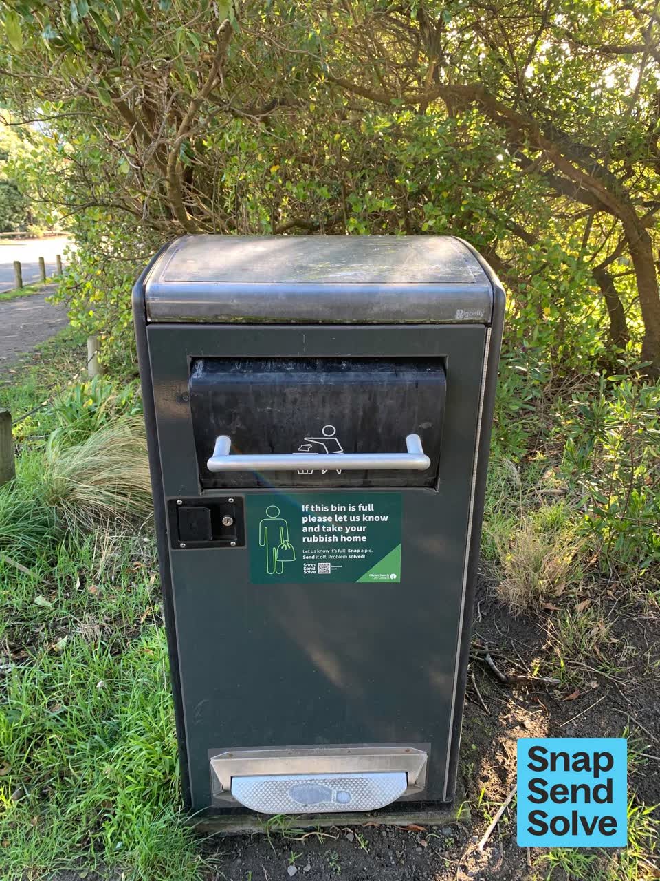 The photograph attached to this rubbish and bins - general report