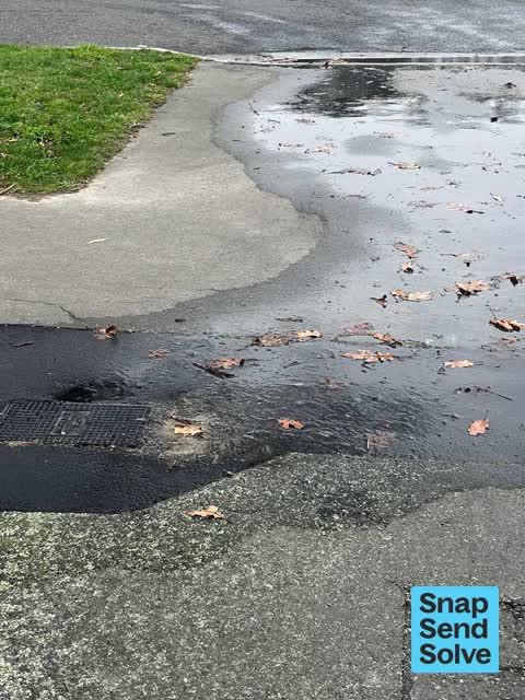 Water Leak, a report photo