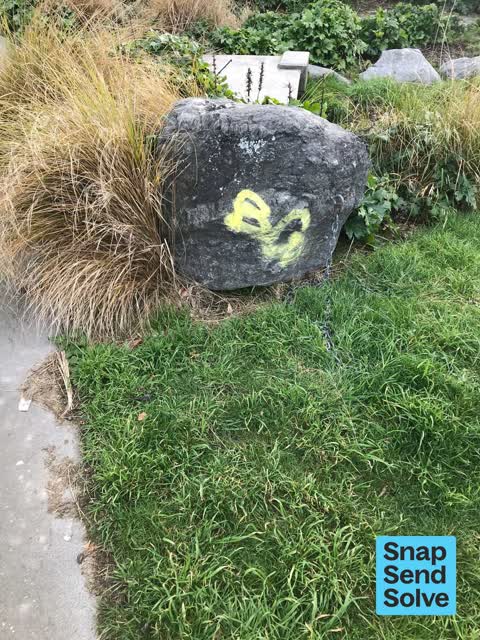 Graffiti on a playground or in a park — a report photo