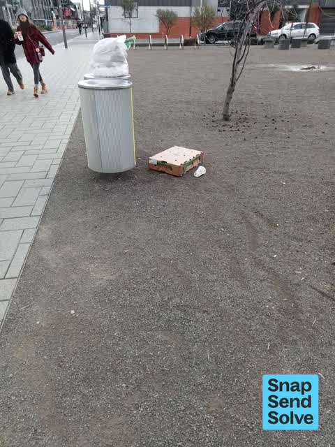 Litter — a report photo
