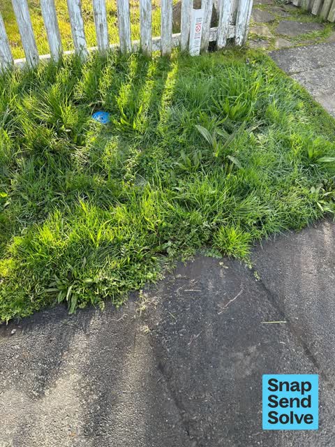 Water Leak, a report photo