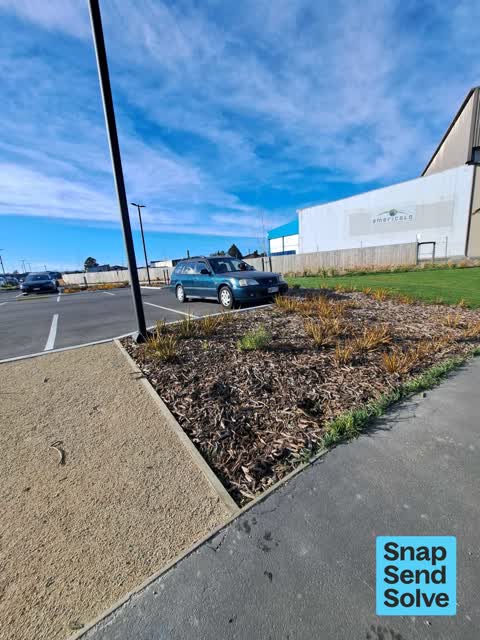 Hazard, vehicle, a report photo