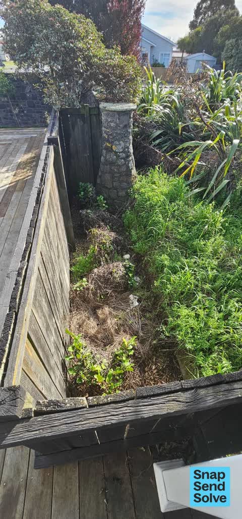 Overgrown Vegetation, a report photo