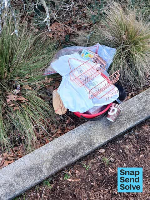 Dumped Rubbish, a report photo