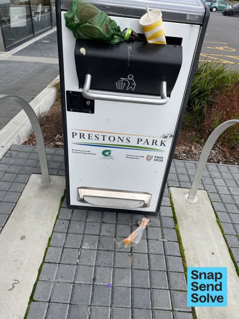 Rubbish and Bins - General, a report photo